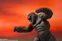 Godzilla vs. Kong - King Kong SH Monsterarts Figure (Movie Ver.) (Re-run) image number 5