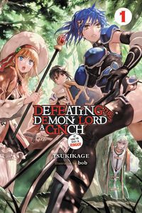Defeating the Demon Lord's a Cinch (If You've Got a Ringer) Novel Volume 1