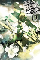 Is It Wrong to Try to Pick Up Girls in a Dungeon? Novel Volume 13 image number 0