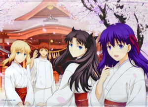 Fate/Stay Night Heaven's Feel III. spring song Special Illustration B2 Wall Scroll