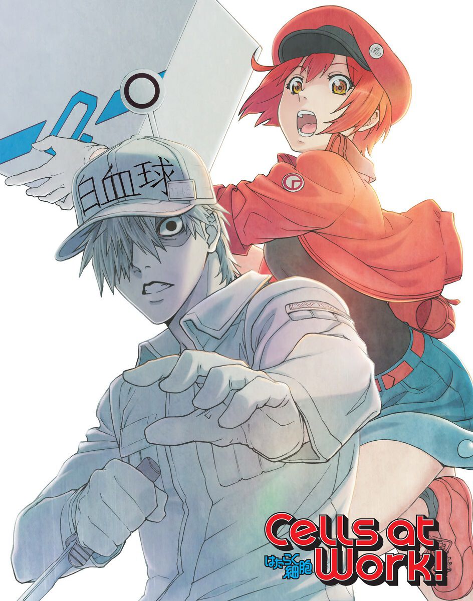 Cells at Work! Blu-ray
