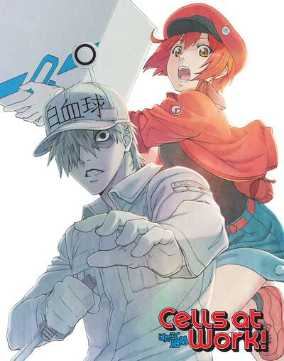 Cells at Work! Blu-ray