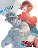 Cells at Work! Blu-ray image number 0