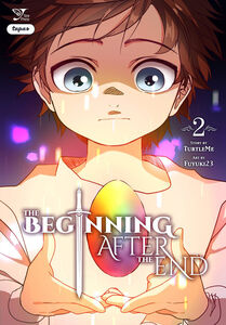 The Beginning After the End Manhwa Volume 2
