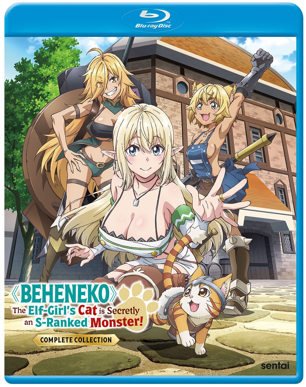 beheneko-the-elfgirls-cat-is-secretly-an-sranked-monster-complete-collection-bluray