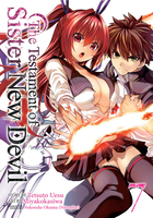 The Testament of Sister New Devil Manga Volume 7 image number 0
