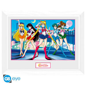 Sailor Scouts Sailor Moon Framed Print