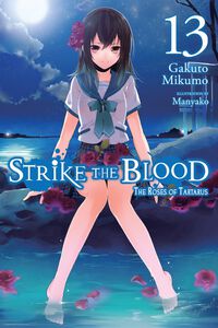 Strike the Blood Novel Volume 13