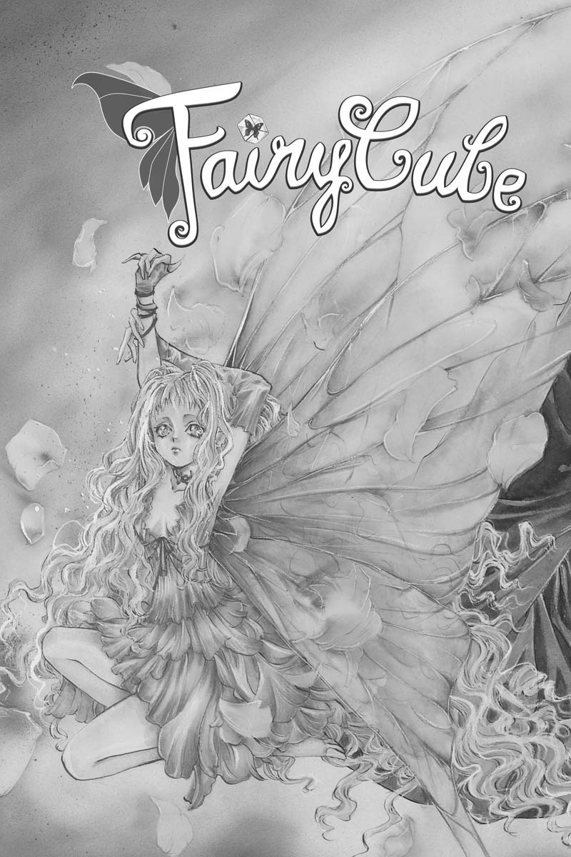 Fairy Cube, Vol. 1: Rebirth (1) by Yuki, Kaori