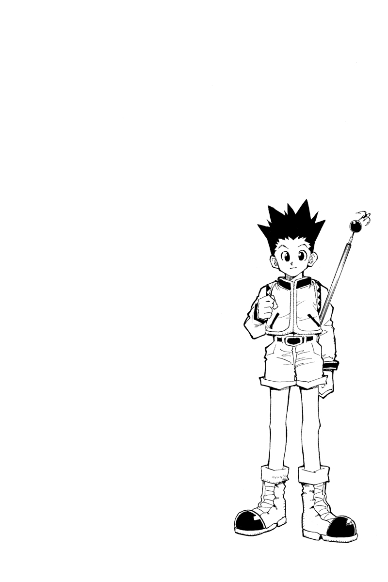 What is everything wrong with the Hunter x Hunter manga