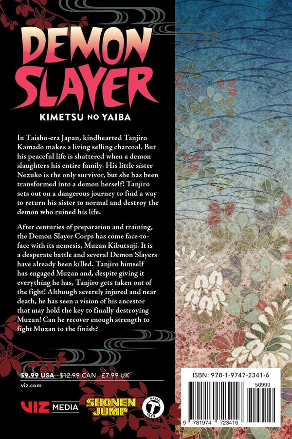 Demon Slayer: Kimetsu No Yaiba, Vol. 22 [Book]