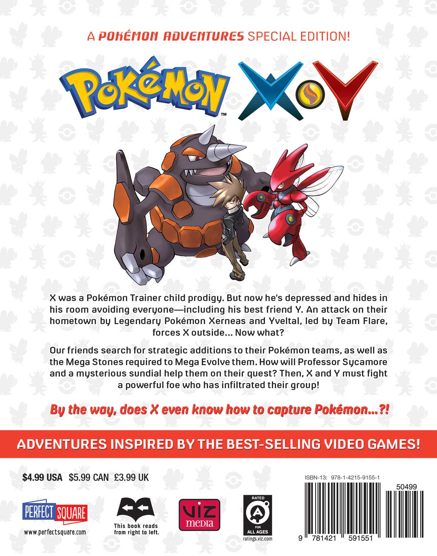 Pokemon X & Y Legendary Poster