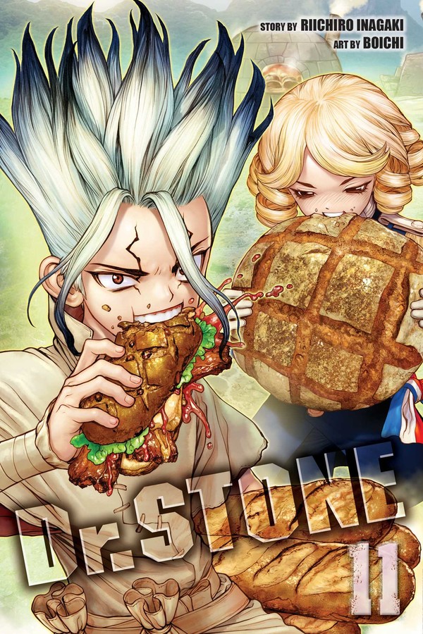 Dr. STONE Manga Volume 11 image count 0