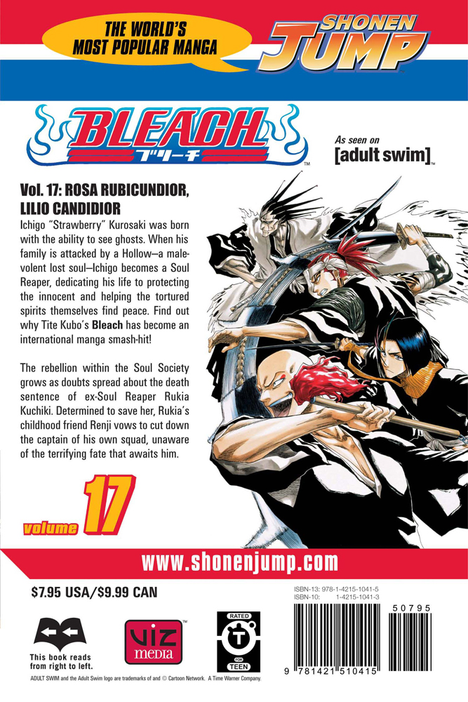 BLEACH Manga Volume 10