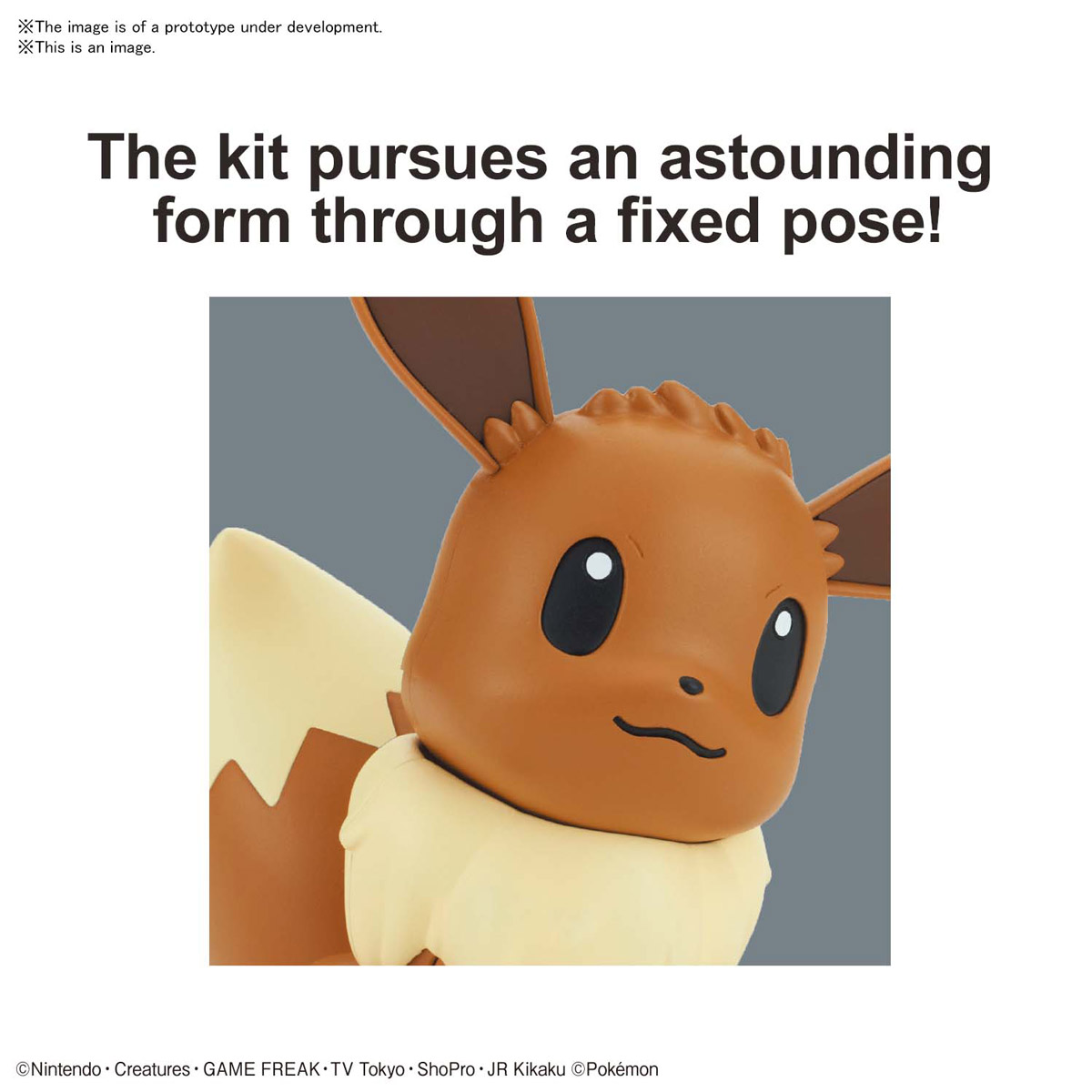 Pokemon Model Kit: Evee
