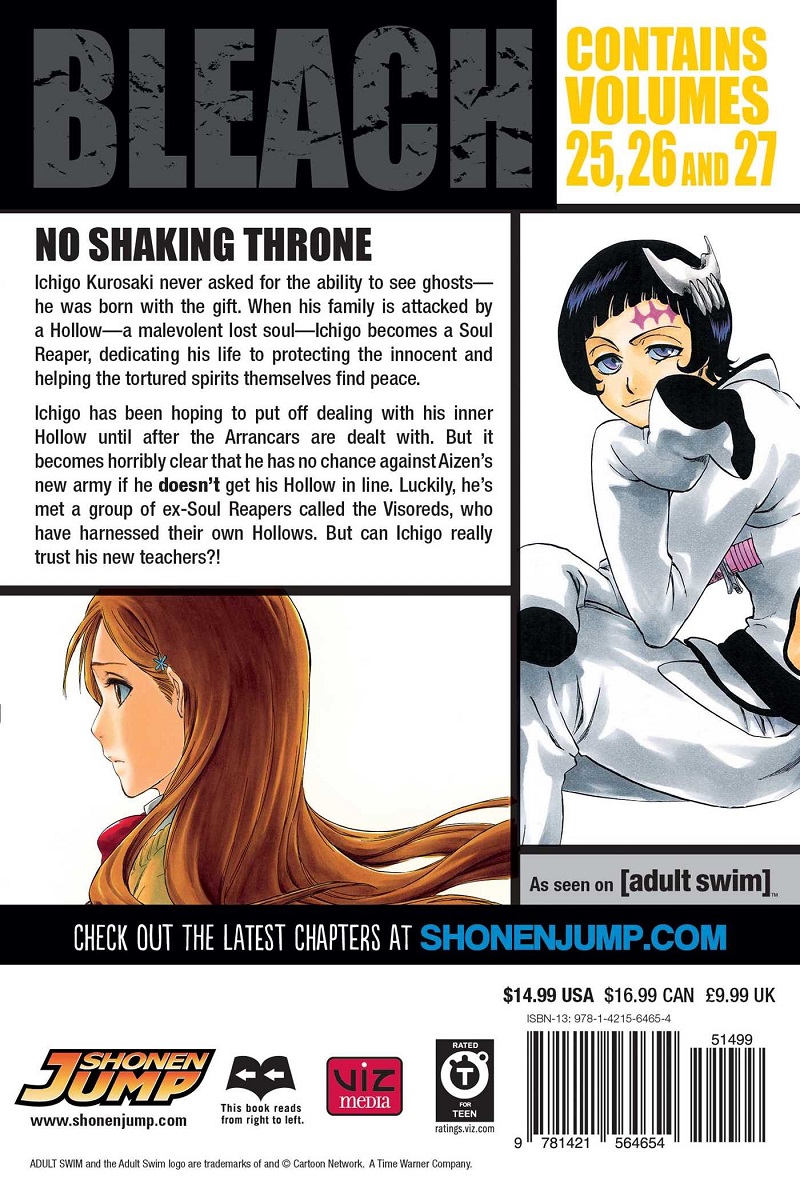 BLEACH Manga Volume 25