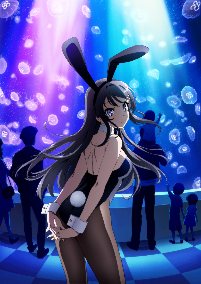 Rascal does not dream of bunny girl senpai dubbed