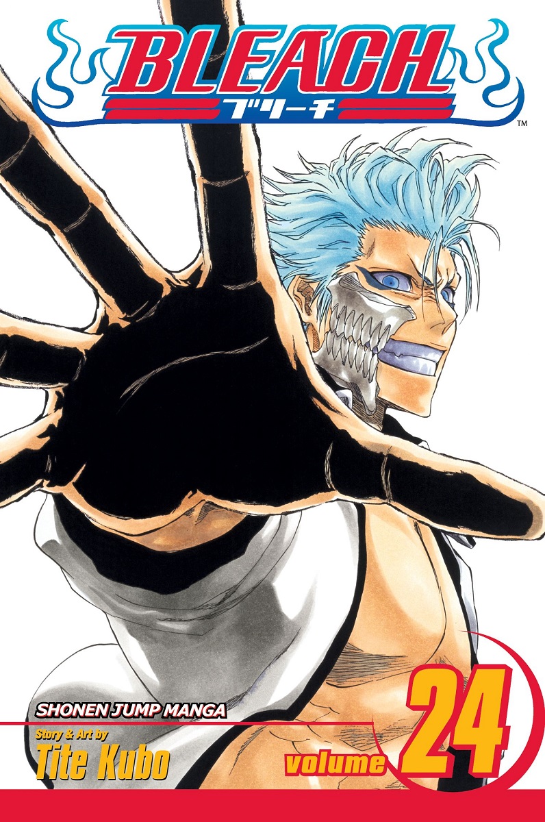 Bleach DVD 24 - Review - Anime News Network