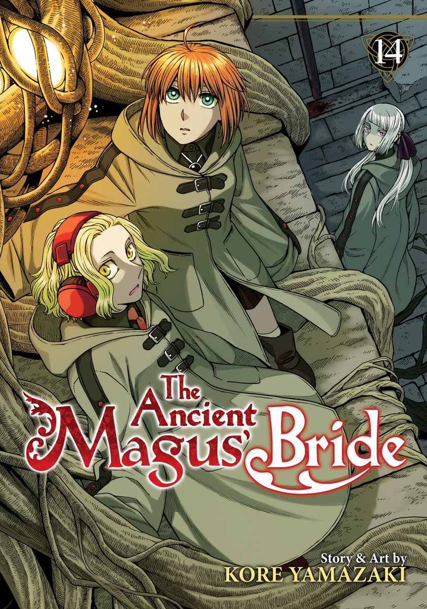 Mahoutsukai no yome manga  Ancient magus bride, Hero poster, Manga