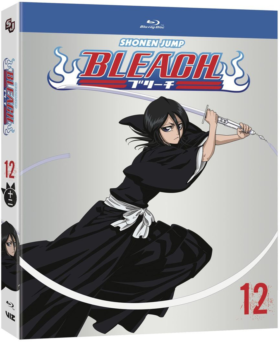 Crunchyroll DELETES Bleach From Its Streaming Platform and We All