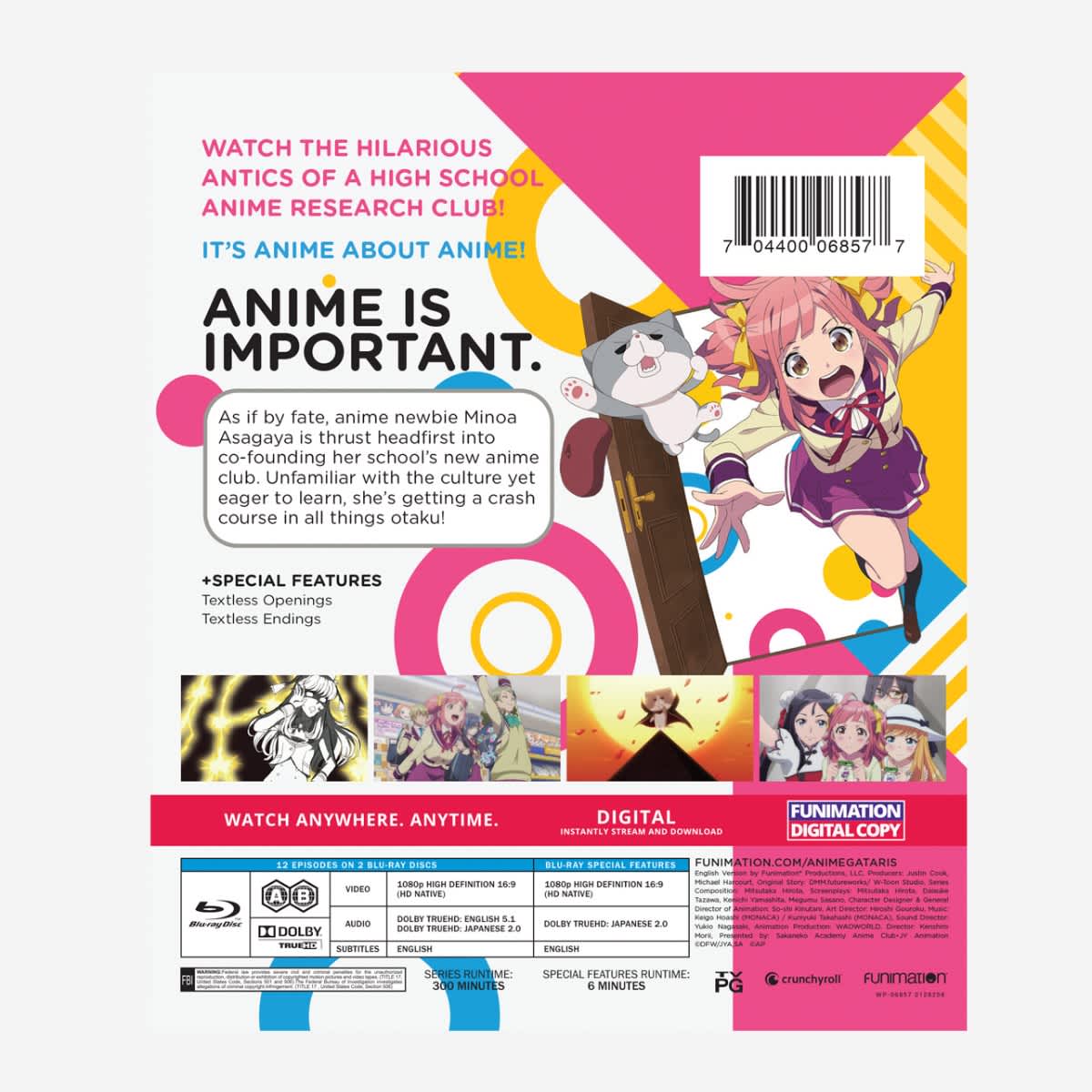 HSMediaNerd: Book, Anime, and Movie Reviews: Anime Review