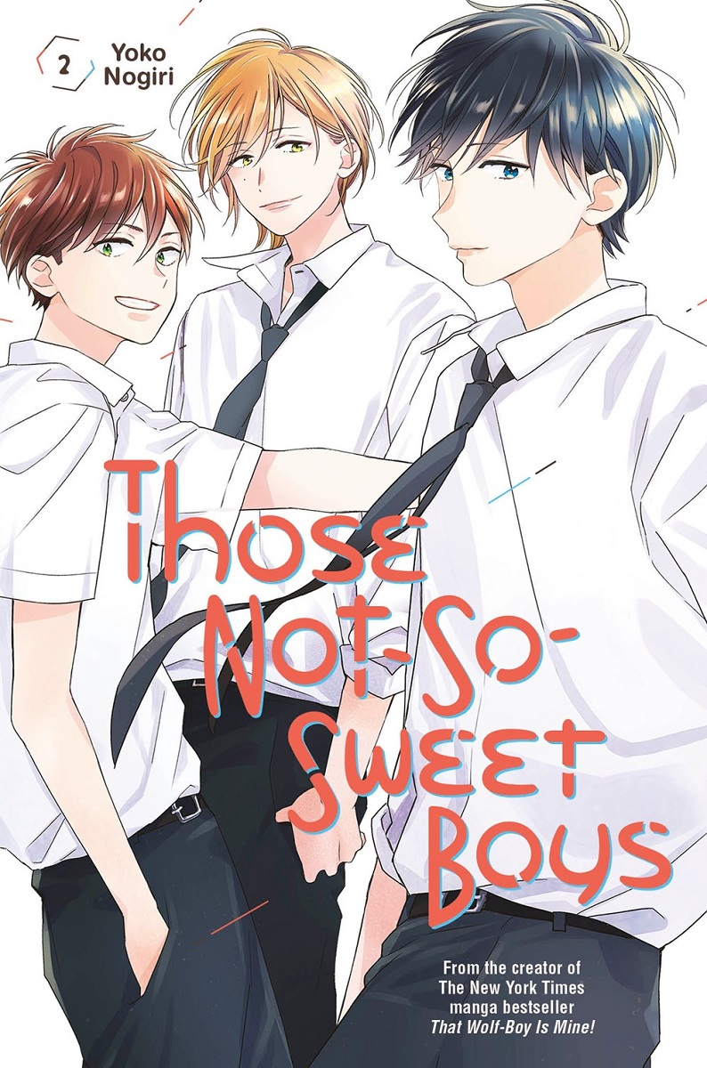 Those Not-So-Sweet Boys Manga Volume 2 | Crunchyroll Store
