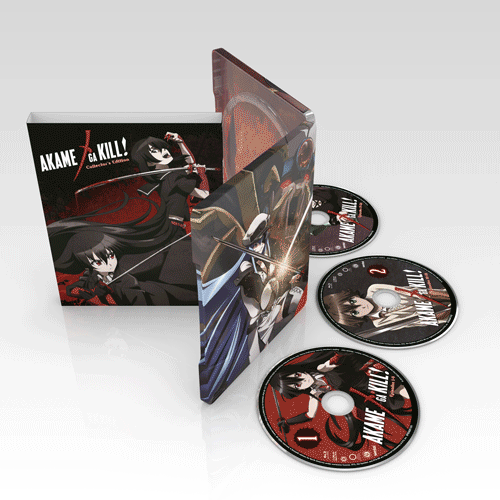 Akame Ga Kill 1 [Blu-ray]