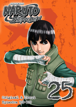 Naruto Shippuden : Collection 20 : Eps 245-257, DVD