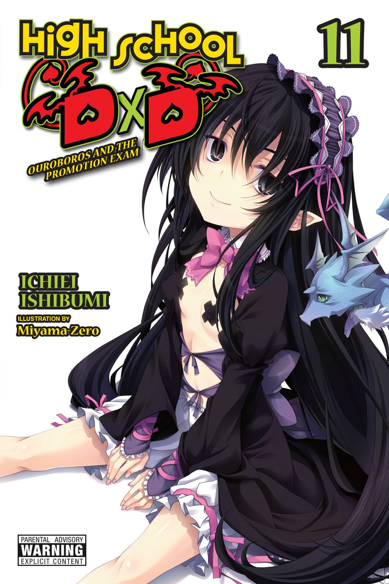 The end of DXD novels