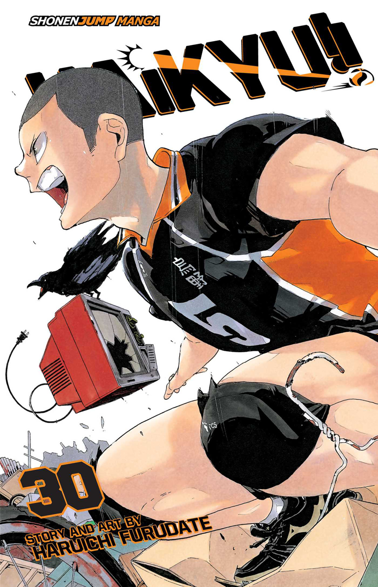 Haikyu!! Manga Volume 30 image count 0