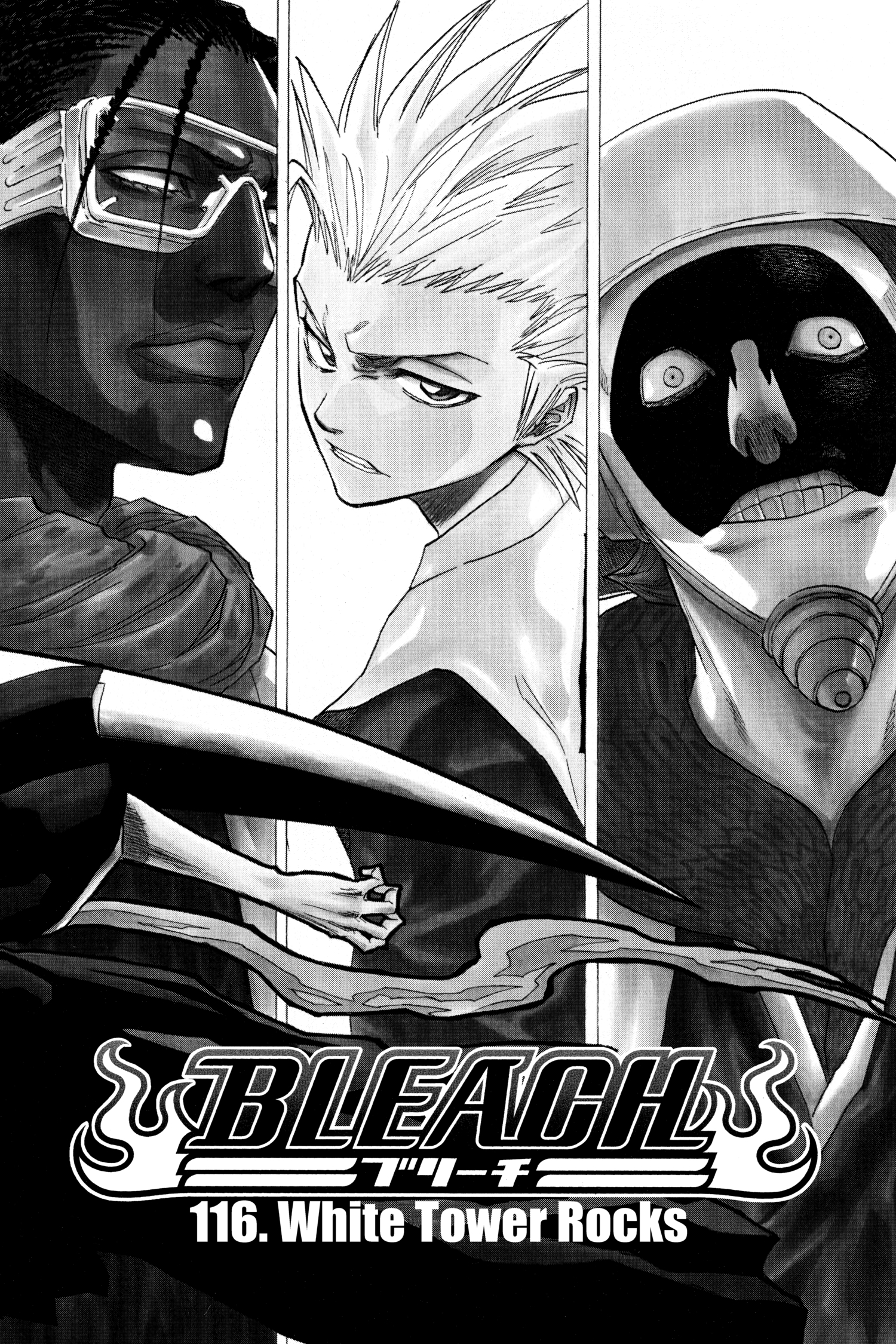 BLEACH Manga Volume 14