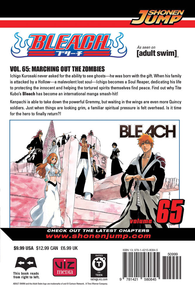BLEACH Manga Volume 65