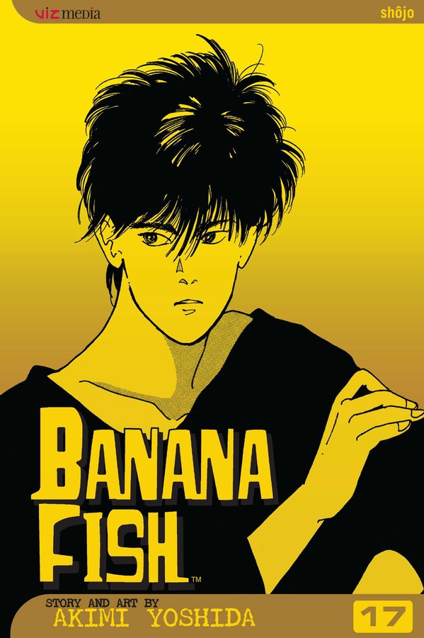 Banana Fish Manga Volume 17 image count 0