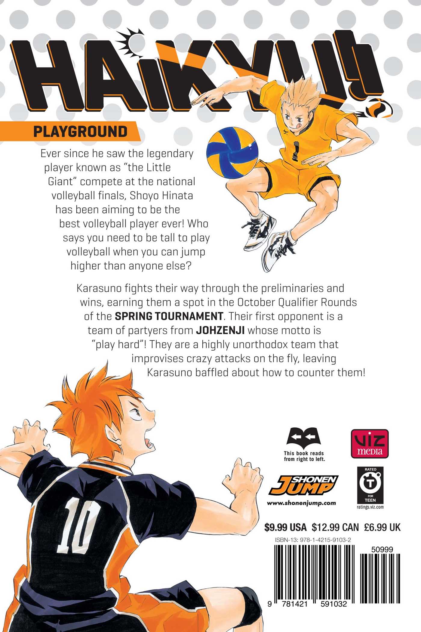 Haikyu!! Manga Volume 1