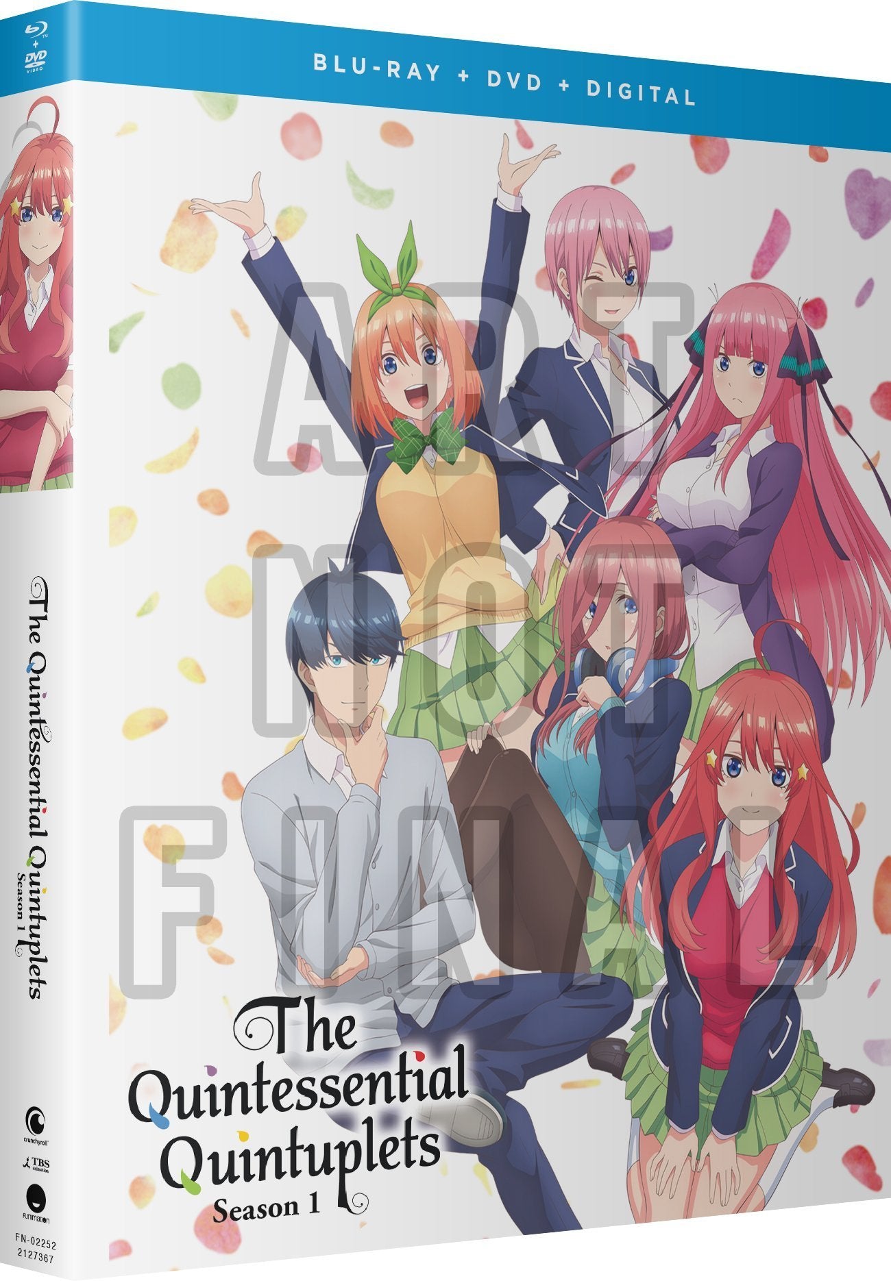 The Quintessential Quintuplets - Season 1 - Blu-ray + DVD image count 1