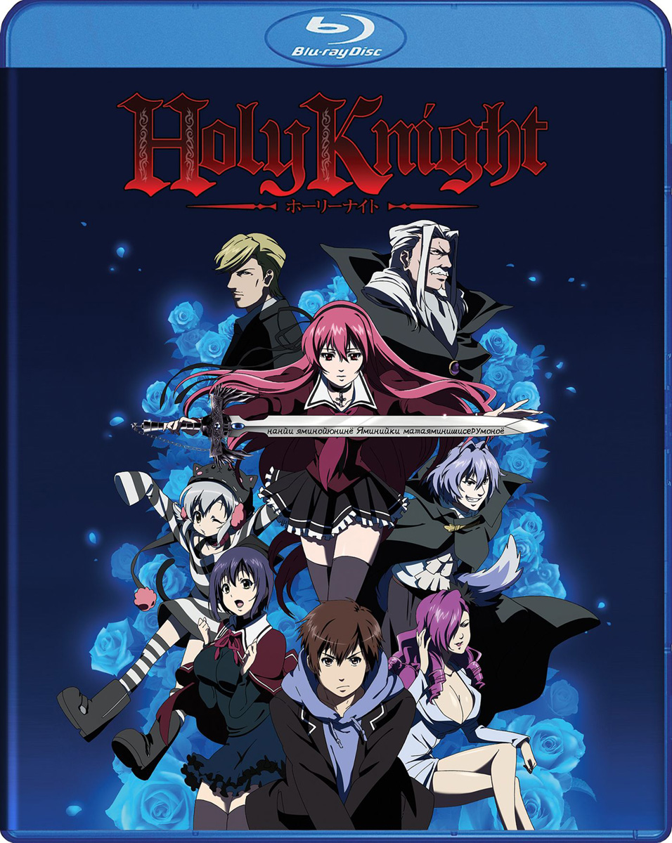 Holy Knight Blu-ray | Crunchyroll Store