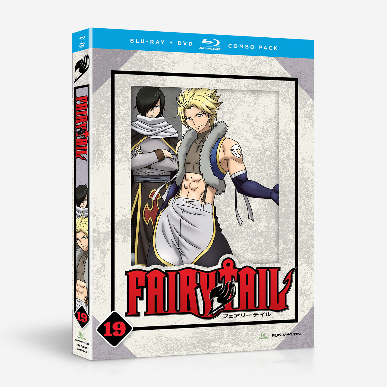 FAIRY TAIL(19) ＤＶＤ - ブルーレイ