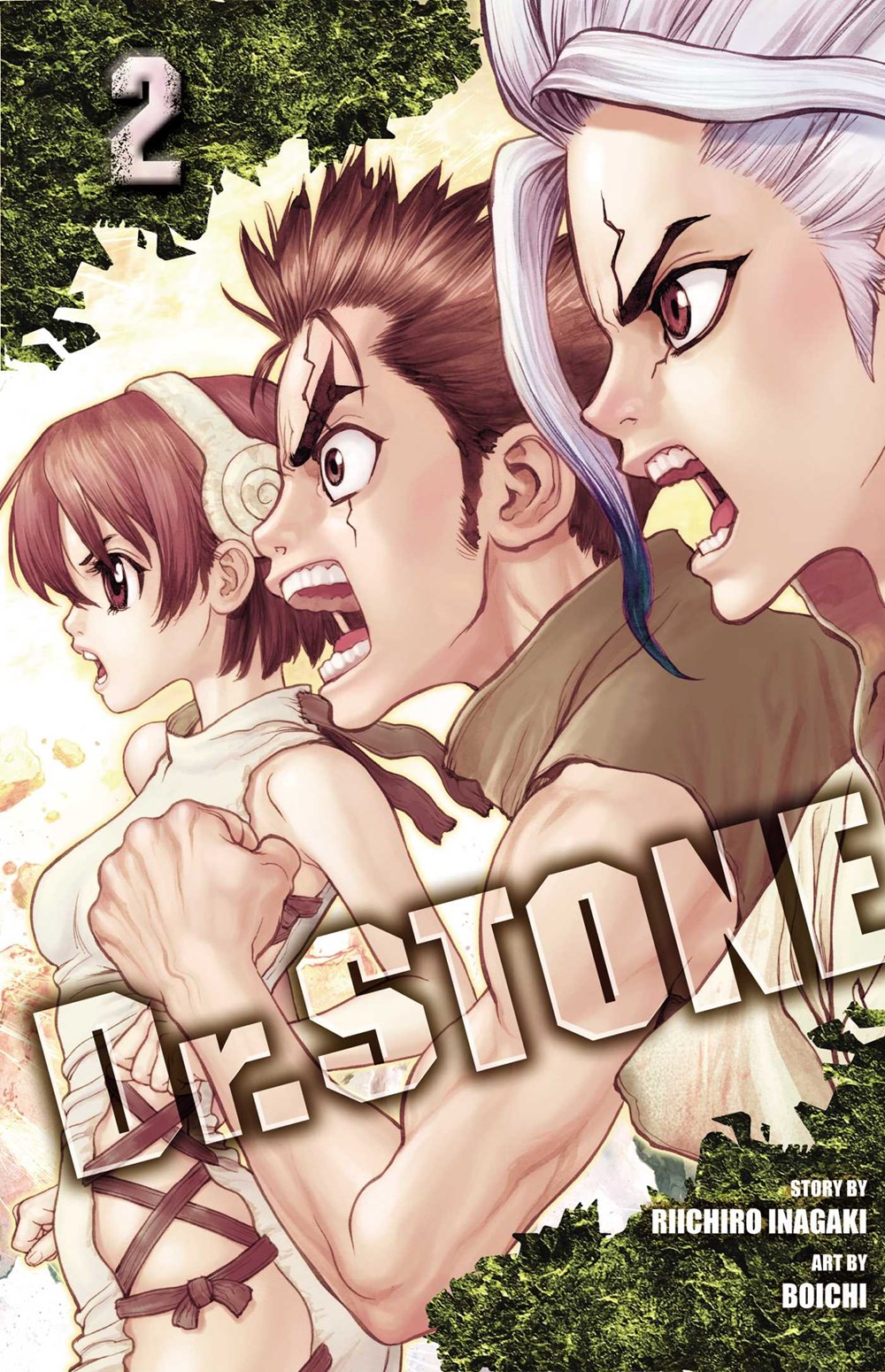 Dr. STONE Manga Volume 2 image count 0