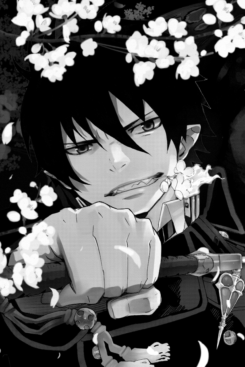 Blue Exorcist Manga Volume 1 | Crunchyroll Store